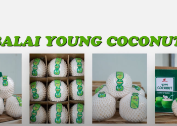 quay dung video gioi thieu dua Dragon Foods