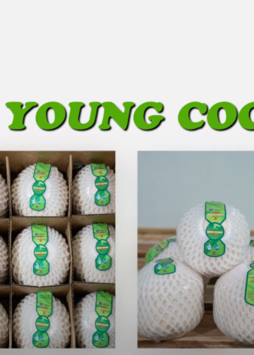 quay dung video gioi thieu dua Dragon Foods