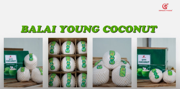 quay dung video gioi thieu dua Dragon Foods