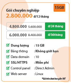 giá hosting chuyên nghiệp