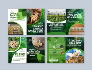 thiet ke catalog san pham